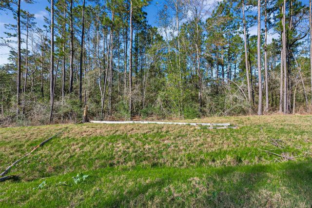 11623 Dawn Tree Lane, Willis, TX 77378