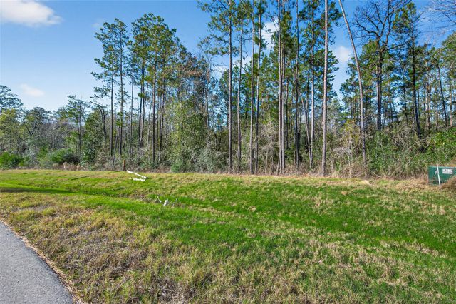 11623 Dawn Tree Lane, Willis, TX 77378