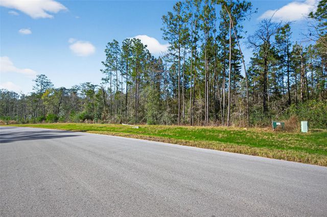 11623 Dawn Tree Lane, Willis, TX 77378