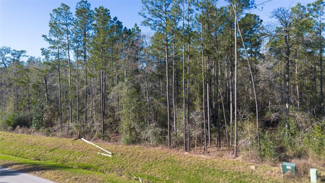 11623 Dawn Tree Lane, Willis, TX 77378