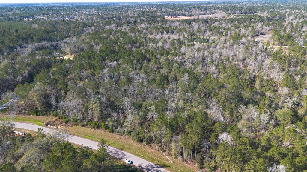 11623 Dawn Tree Lane, Willis, TX 77378