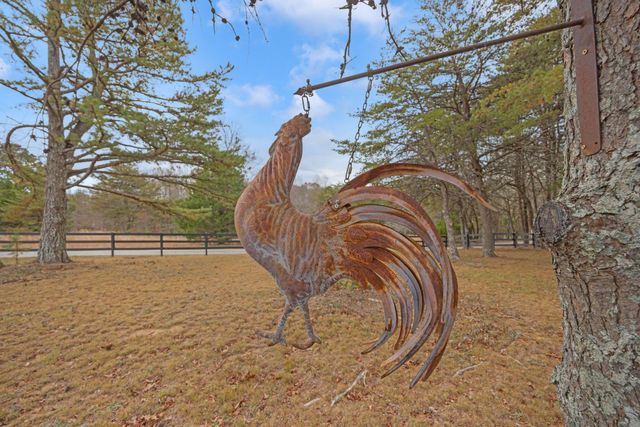 89 Halifax Farm Lane, Rising Fawn, GA 30738