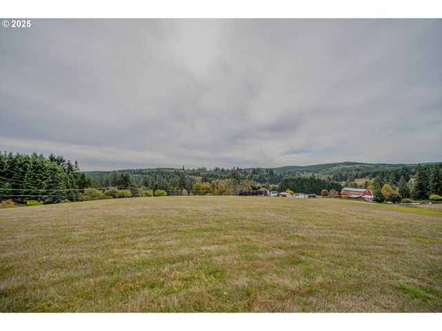 76171 DELENA MAYGER Rd, Rainier, OR 97048