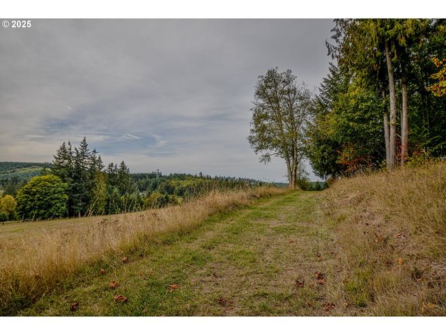 76171 DELENA MAYGER Rd, Rainier, OR 97048