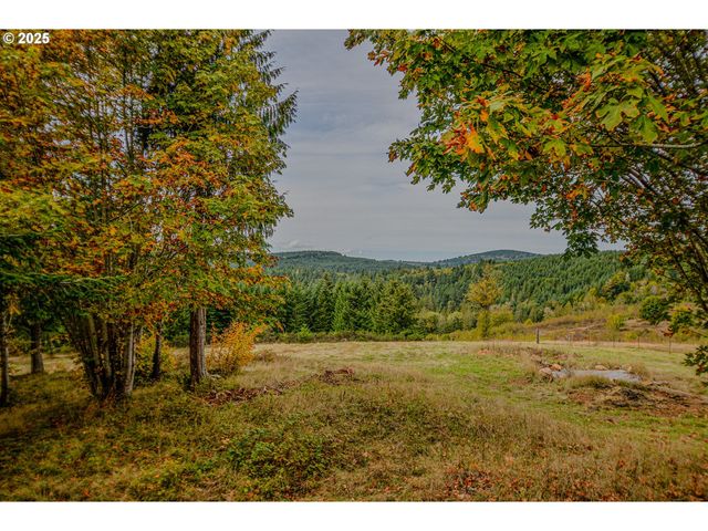 76171 DELENA MAYGER Rd, Rainier, OR 97048