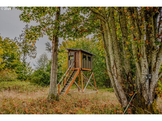 76171 DELENA MAYGER Rd, Rainier, OR 97048