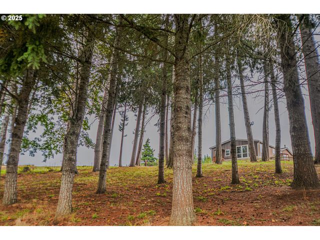 76171 DELENA MAYGER Rd, Rainier, OR 97048