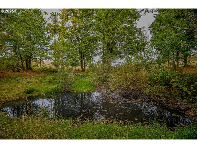 76171 DELENA MAYGER Rd, Rainier, OR 97048