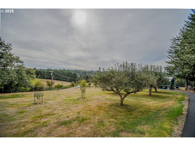 76171 DELENA MAYGER Rd, Rainier, OR 97048