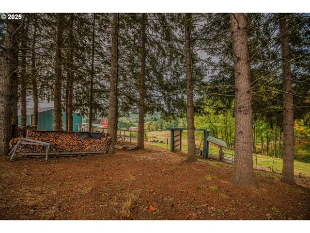 76171 DELENA MAYGER Rd, Rainier, OR 97048