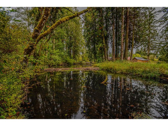 76171 DELENA MAYGER Rd, Rainier, OR 97048