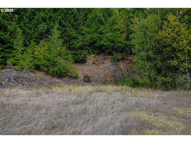 76171 DELENA MAYGER Rd, Rainier, OR 97048