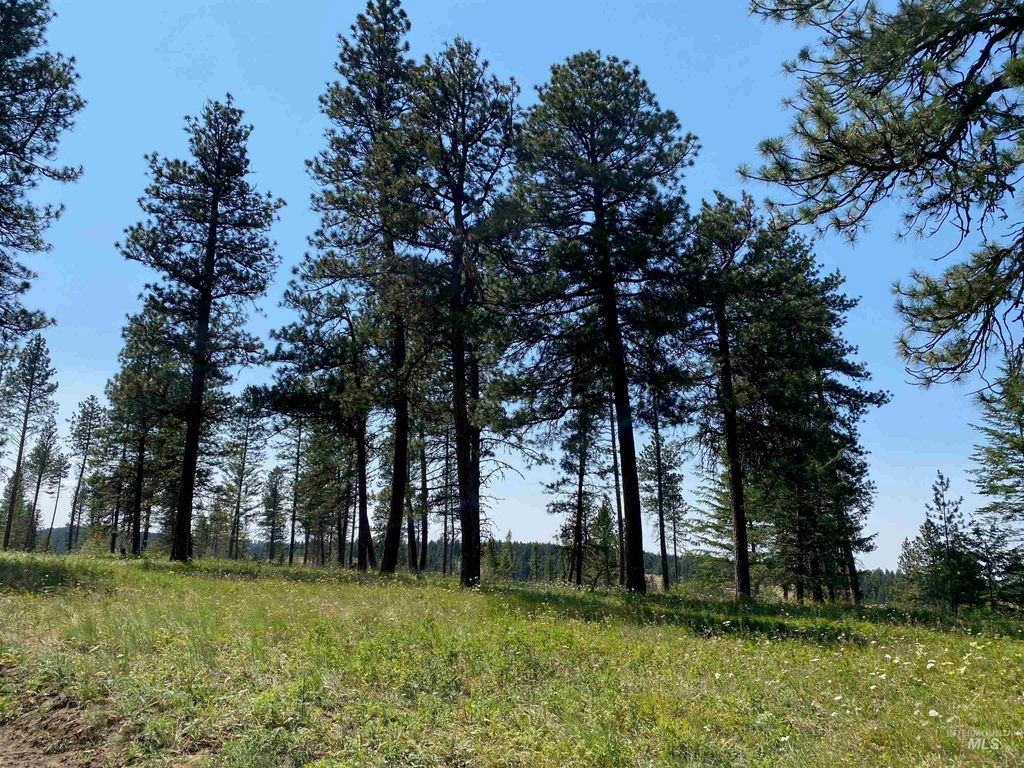 NNA Cloverland Road, Asotin, WA 99402 photo 11