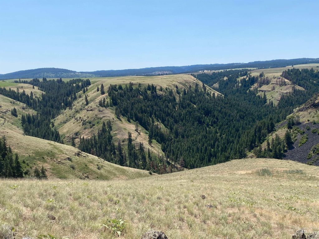 NNA Cloverland Road, Asotin, WA 99402 photo 12