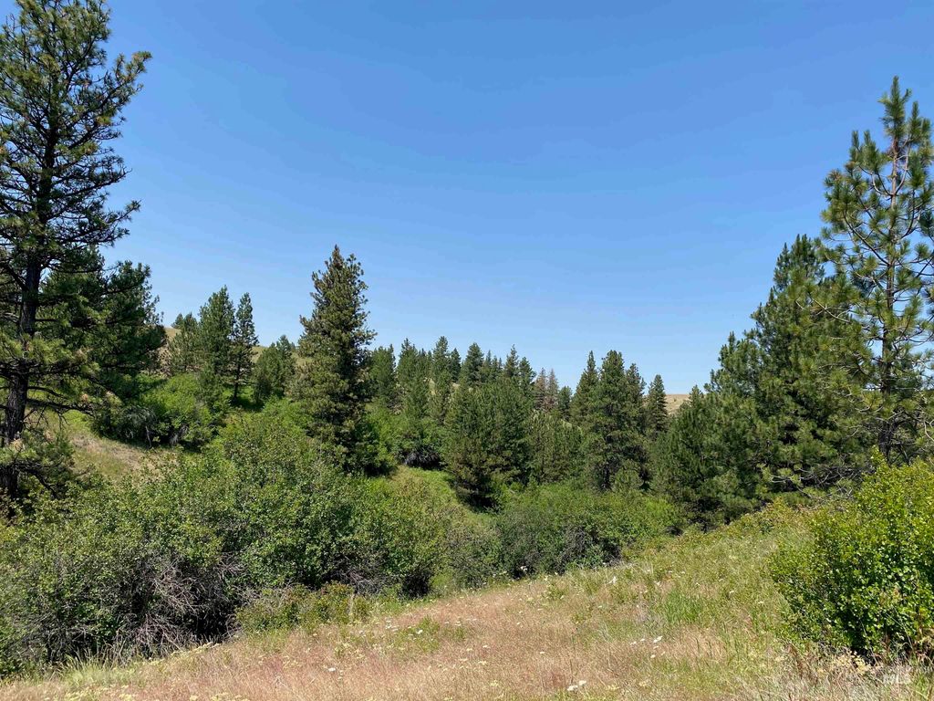 NNA Cloverland Road, Asotin, WA 99402 photo 13