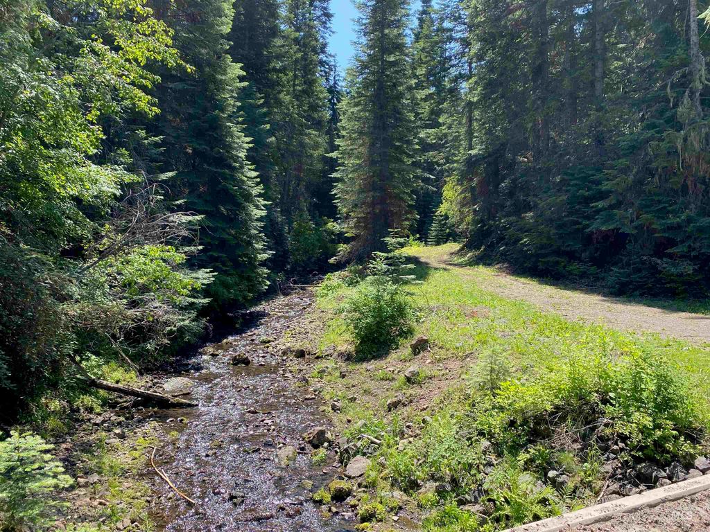 NNA Cloverland Road, Asotin, WA 99402 photo 16