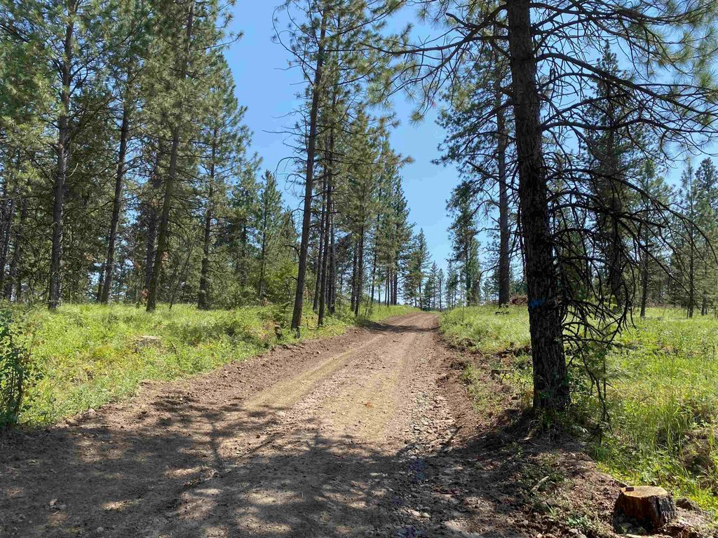 NNA Cloverland Road, Asotin, WA 99402 photo 19