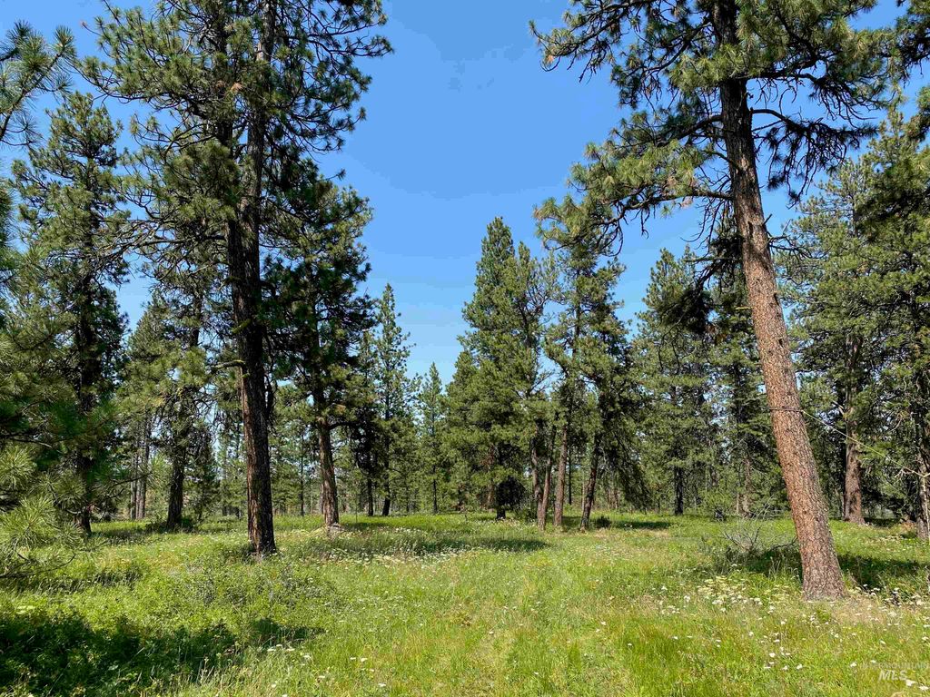 NNA Cloverland Road, Asotin, WA 99402 photo 2