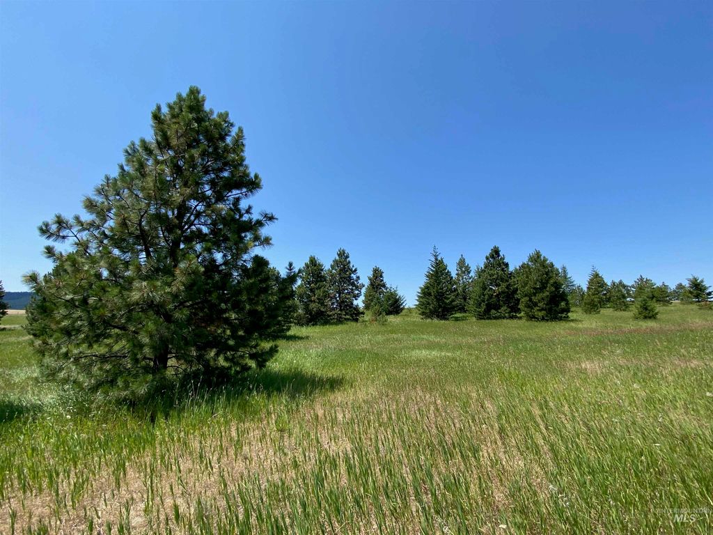 NNA Cloverland Road, Asotin, WA 99402 photo 20