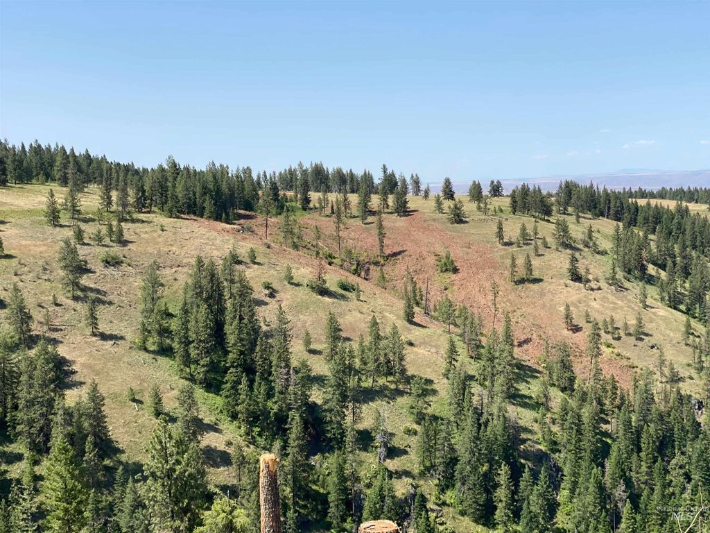 NNA Cloverland Road, Asotin, WA 99402 photo 21