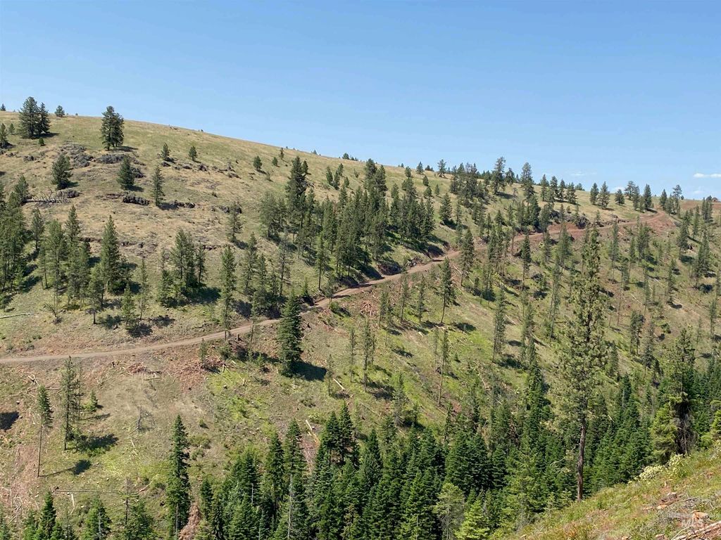 NNA Cloverland Road, Asotin, WA 99402 photo 23