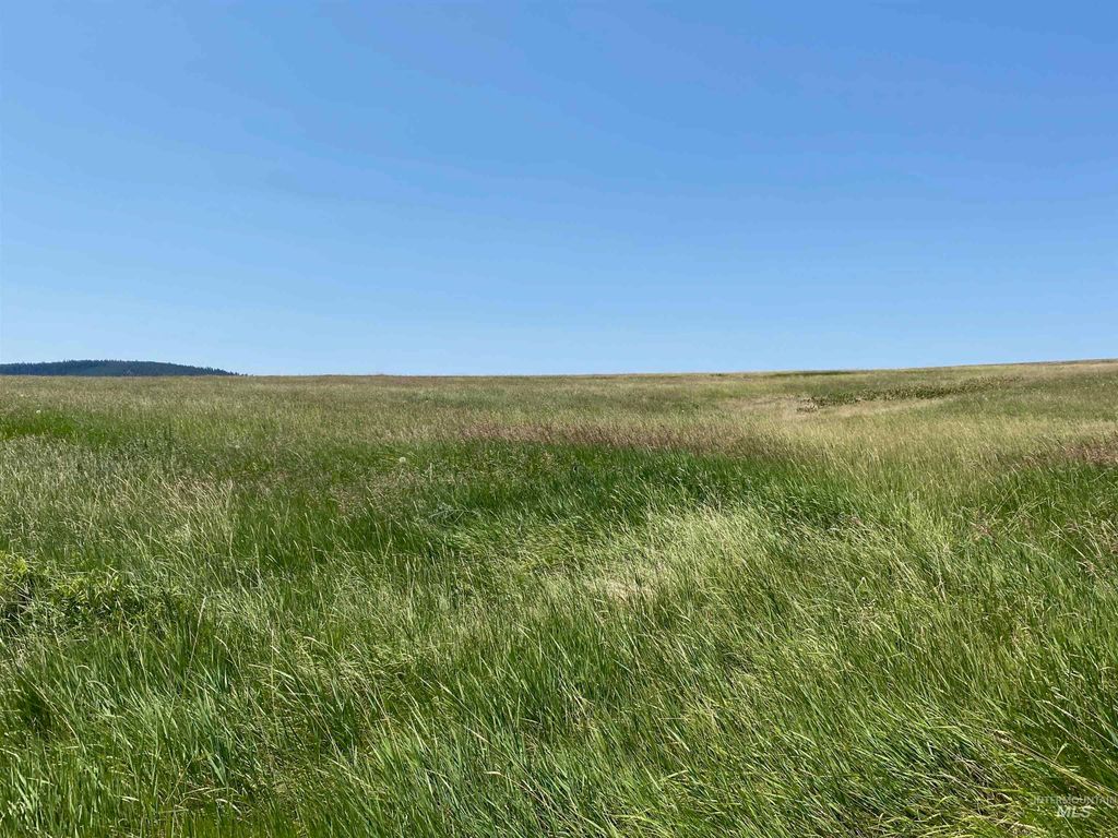 NNA Cloverland Road, Asotin, WA 99402 photo 6