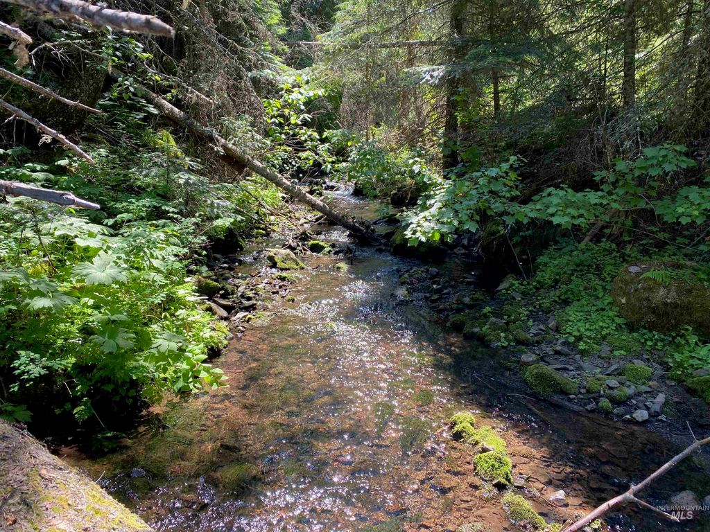 NNA Cloverland Road, Asotin, WA 99402 photo 8