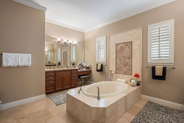 11832 WATERSTONE LOOP DRIVE, Windermere, FL 34786