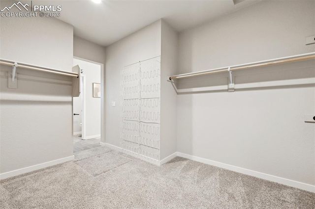 491 Blanket Flower Street, Calhan, CO 80808