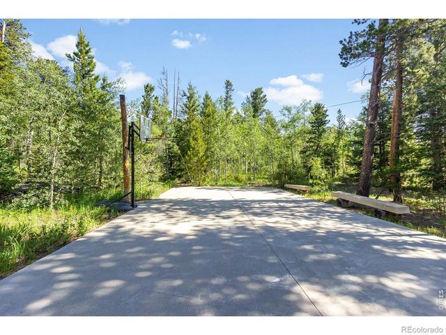 11614 Peak To Peak Highway, Allenspark, CO 80510