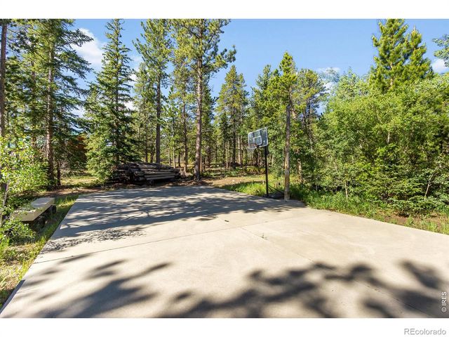 11614 Peak To Peak Highway, Allenspark, CO 80510