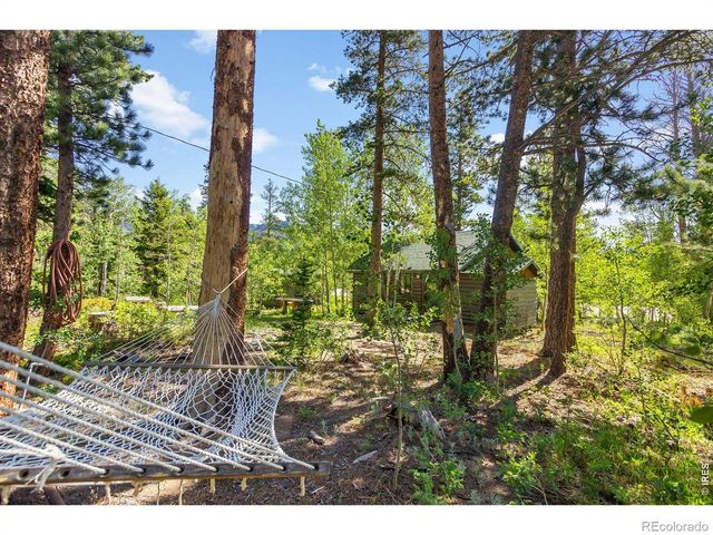 11614 Peak To Peak Highway, Allenspark, CO 80510