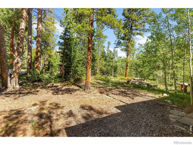 11614 Peak To Peak Highway, Allenspark, CO 80510