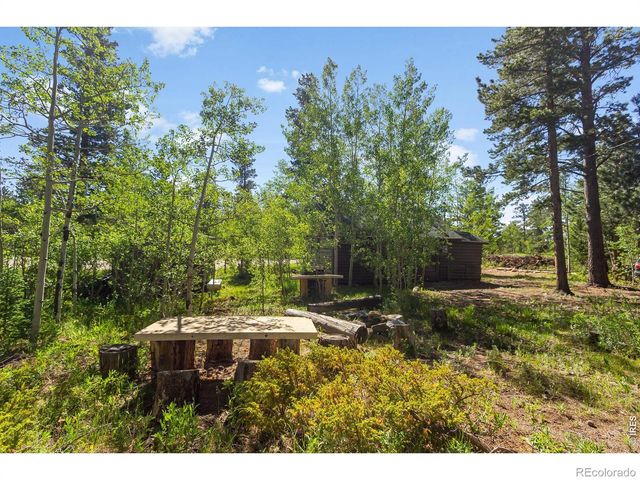 11614 Peak To Peak Highway, Allenspark, CO 80510