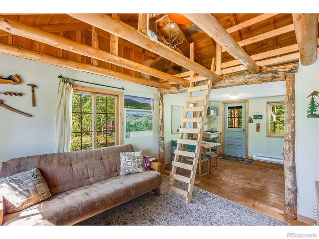 11614 Peak To Peak Highway, Allenspark, CO 80510