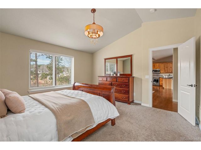 1169 Ptarmigan Dr, Woodland Park, CO 80863