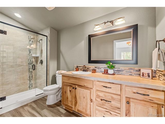 1169 Ptarmigan Dr, Woodland Park, CO 80863