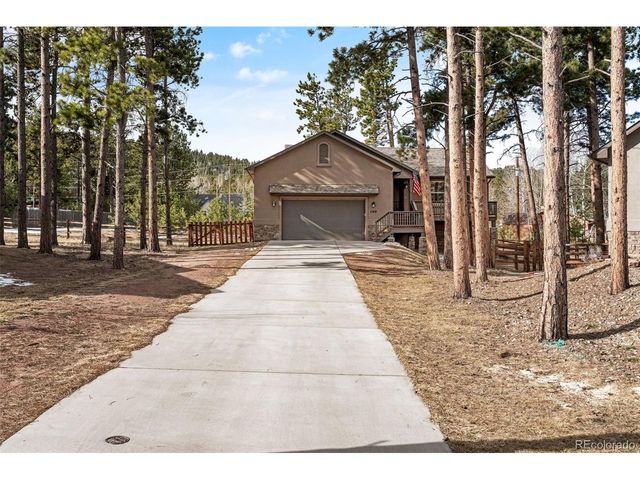 1169 Ptarmigan Dr, Woodland Park, CO 80863