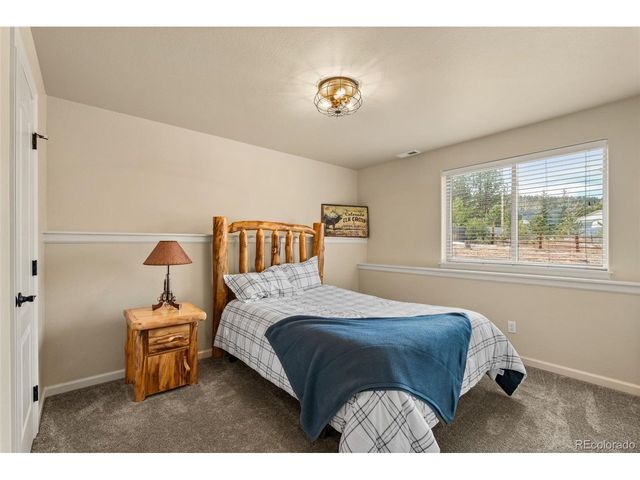 1169 Ptarmigan Dr, Woodland Park, CO 80863