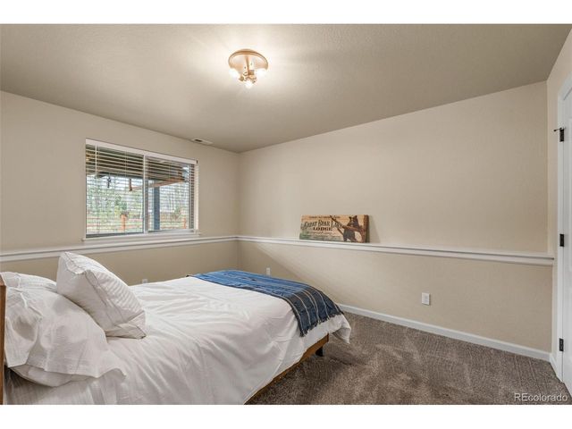 1169 Ptarmigan Dr, Woodland Park, CO 80863