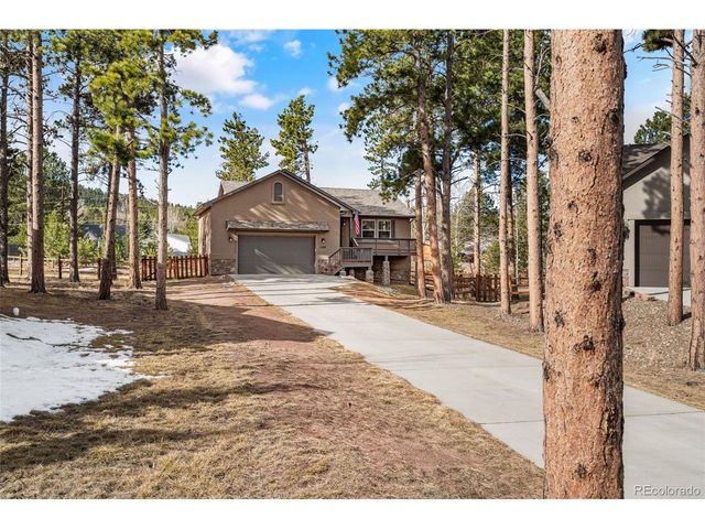1169 Ptarmigan Dr, Woodland Park, CO 80863