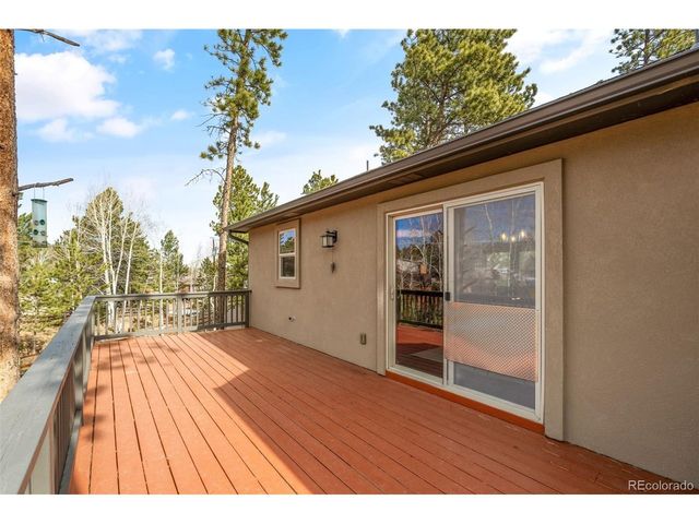 1169 Ptarmigan Dr, Woodland Park, CO 80863