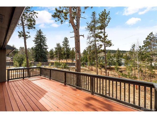 1169 Ptarmigan Dr, Woodland Park, CO 80863