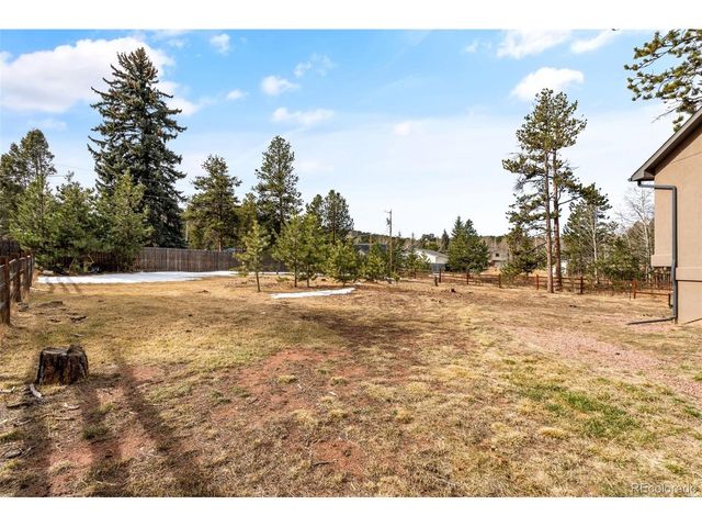 1169 Ptarmigan Dr, Woodland Park, CO 80863