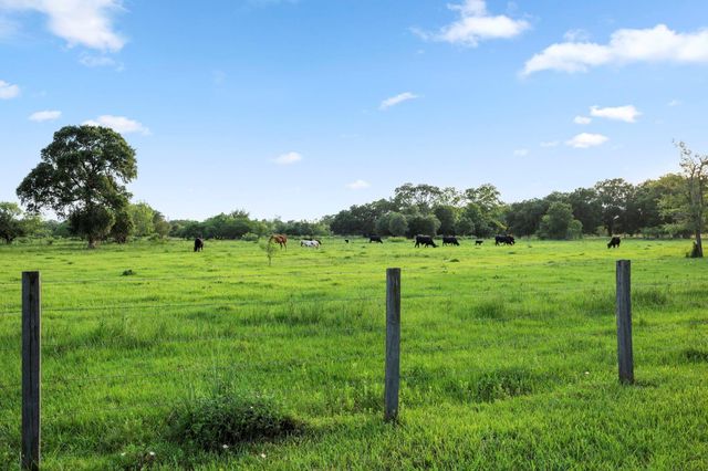 19245 Fm 442 Road, Boling, TX 77420