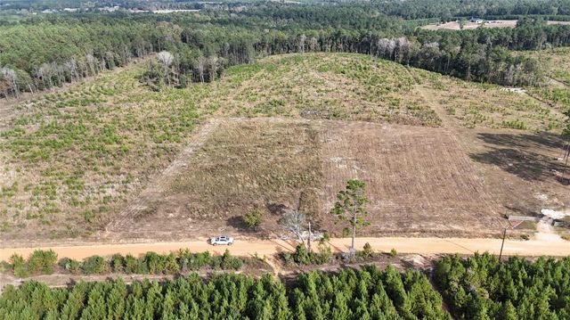 TBD 3 Young Road, Livingston, TX 77351