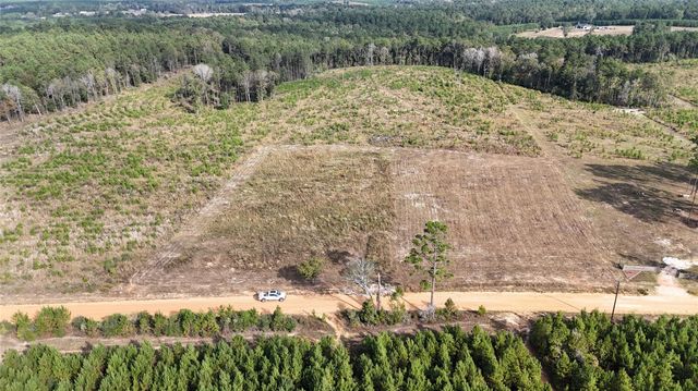 TBD 3 Young Road, Livingston, TX 77351