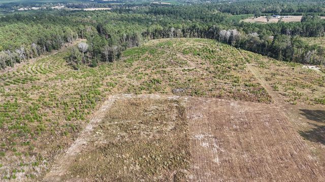 TBD 3 Young Road, Livingston, TX 77351