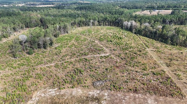 TBD 3 Young Road, Livingston, TX 77351