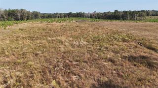 TBD 3 Young Road, Livingston, TX 77351